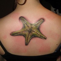 Tatuaje en la espalda, estrella de mar de color amarillo oscuro