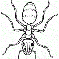 Cool outline fluffy ant tattoo design