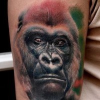 Cool realistic colot-ink gorilla head in tropics tattoo on upper arm