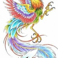 Phoenix tattoo designs - Page 7 - Tattooimages.biz