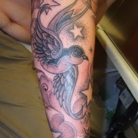 Tatuaje en el antebrazo, pájaro gris y estrellas