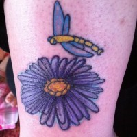 Tatuaje en la pierna, flor de aster con libélula, diseño estupendo