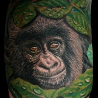 Tatuaje en el brazo,
gorila tierna realista entre hojas verdes
