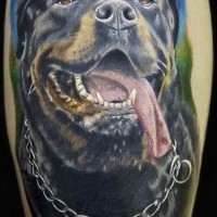 Cute colorful rottweiler with hanging tongue tattoo on arm