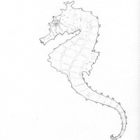 Cute colorless seahorse tattoo design