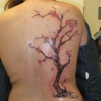Tatuaje en la espalda,
árbol fino con flores de cerezo