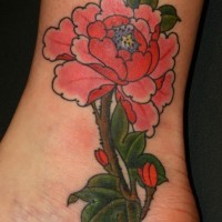 Nette kleine Pfingstrose Blume Tattoo am Knöchel
