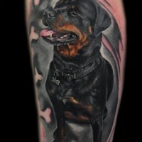 Dreadful colorful full size rottweiler tattoo on arm