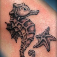 Exiting black-and-white seahorse and starfish tattoo on foot