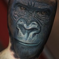 Erschütterndes Tattoo mit realistischer schwarzer Gorillas Schnauze