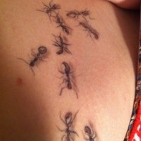 Tattoo mit realistischem Ameisenschwarm