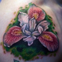 fantastico fiore colorato iris tatuaggio su spalla