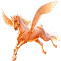 pegasus orange