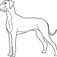 Fine outline dog tattoo design