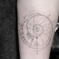 Geometrical style black ink nautilus shaped tattoo on forearm
