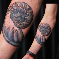 Geometrical style colored forearm tattoo of nautilus shell