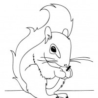 Good cartoon outline squirrel tattoo design