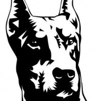 Good tribal doberman face tattoo design