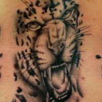 Great black-and-white gnarling cheetah muzzle tattoo