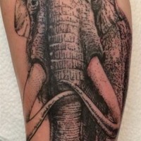 Tatuaje en el brazo, mamut alto hermoso, tinta gris
