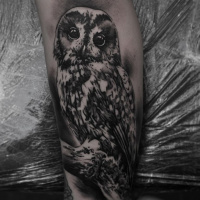 Great black and white owl tattoo on forearm