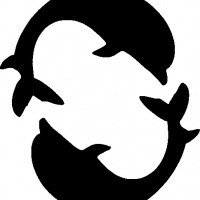 Great black reflected dolphins tattoo design