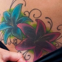 Tatuaje en el estómago,  flores azul y púrpura  exquisitas
