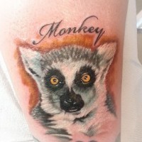 Great colorful lemur head with word quote tattoo on shin