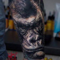 Great gorilla monkey tattoo on forearm