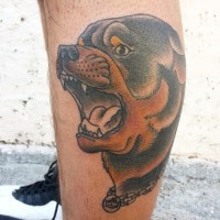 Großartiges Tattoo von braunem Rottweiler im altschulischen Stil an der Wade
