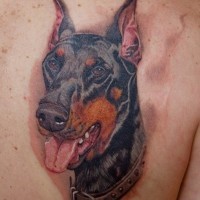 Great realistic doberman head in dog-collar tattoo on back