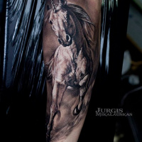 Great unicorn tattoo on forearm