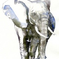 Grey-and-blue watercolor elephant tattoo design