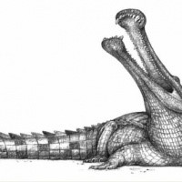 Grey-ink lying sreaming reptile tattoo design