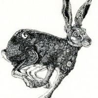 Grey-jumping hare with vacant look tattoo design