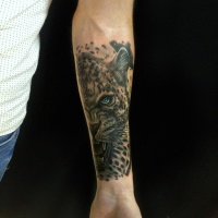 Grey ink leopard tattoo on forearm