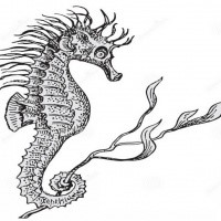 Grey seahorse keeping a weed with tail tattoo design