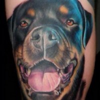 Happy realistic rottweiler head tattoo on arm