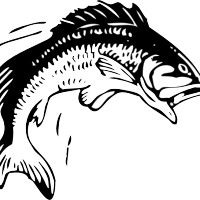 Harch black-ink pound fish tattoo design