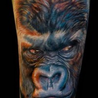 Harsh colorful gorilla head tattoo on arm