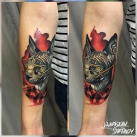 Tatuaje de gato inconformista en el antebrazo