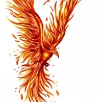 Hot bright orange-color flying phoenix tattoo design
