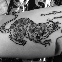 Großes Arm Tattoo mit bösem Nagetier in Schwarzweiß