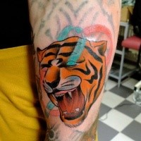 Tatuaje de color ilustrado de tigre rugiente