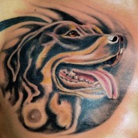 Interessant gestaltetes Brust Tattoo mit Rottweiler Kopf in Schwarz