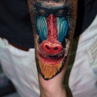 Tatuaje en el antebrazo,
cara de babuino fantástico detallada