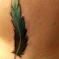 particolare piuma colore verde tatuaggio su lato