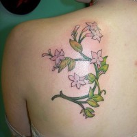 interessante disegno fiore gelsomino tatuaggio su schiena