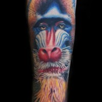 Large color-ink wise baboon head tattoo on arm