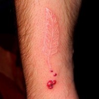 Lange weiße Feder mit roten Tropfen Tattoo am Arm